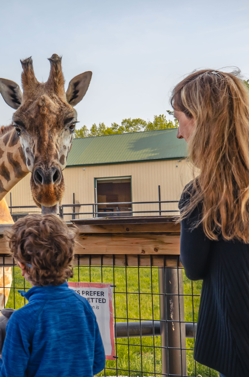 Exploring Wildlife Adventures in Niagara Falls