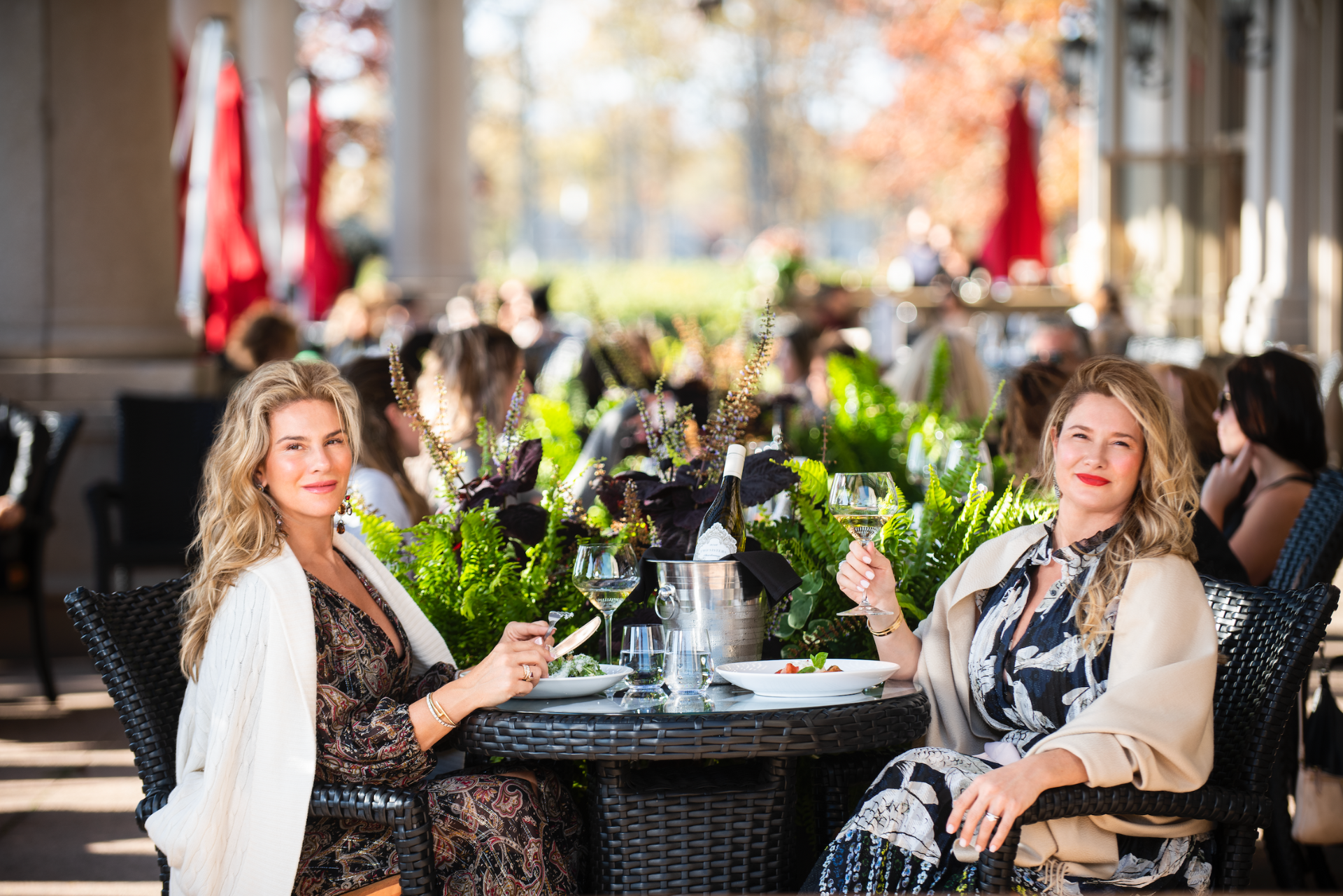 Wine Country Delights