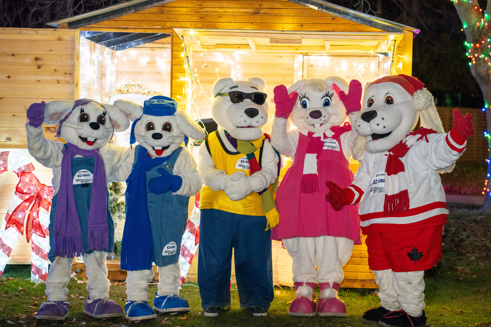 The Misty Kids - Niagara Falls