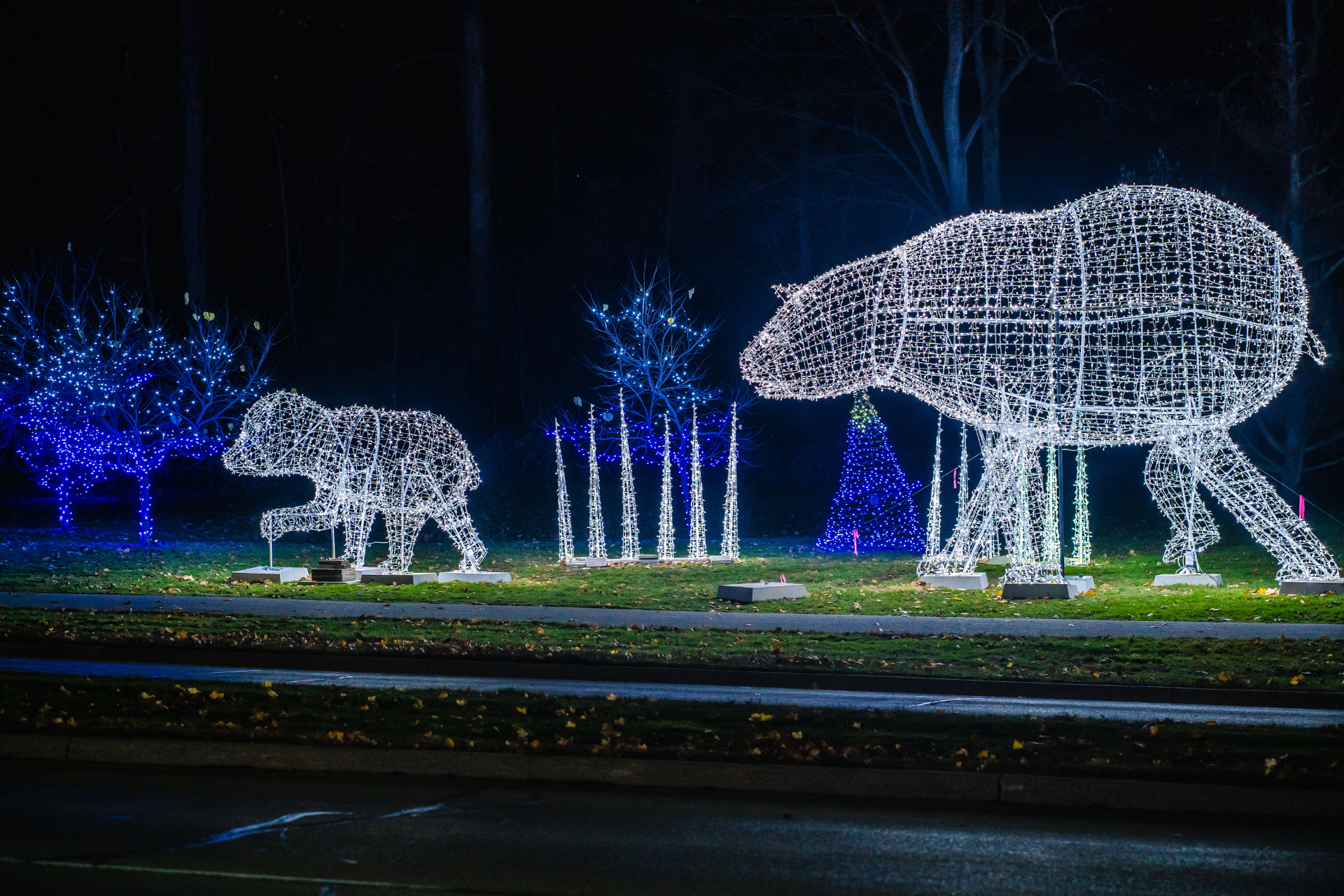 Winter Festival of Lights Map & Contest