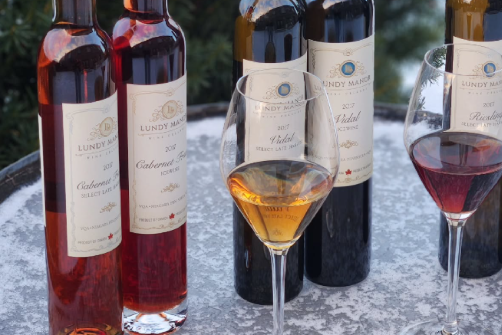 Lundy Manor Wine Cellar