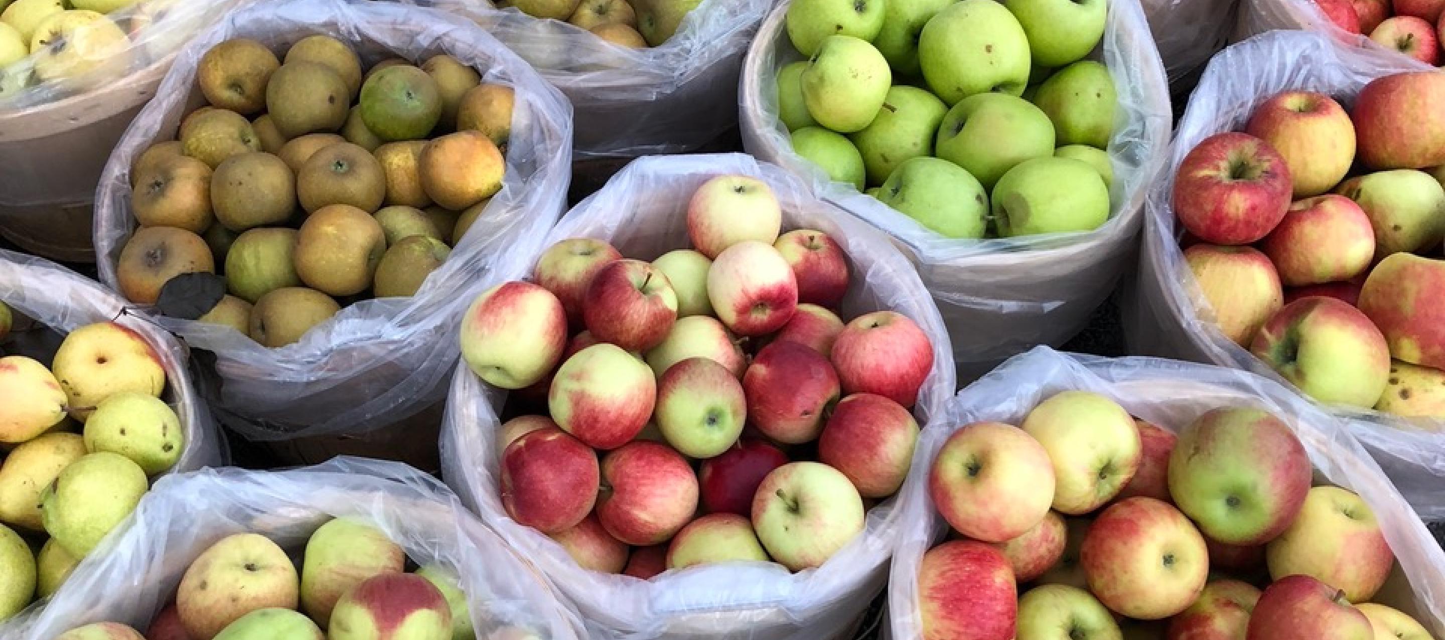 Niagara Falls Farmers' Market 2024